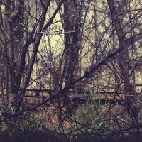 annefehl's profile picture. 