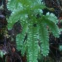 Anna Howland - @Chiquitagranola - Twitter