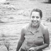 Marita Davies (@thelittleisland) 's Twitter Profile Photo