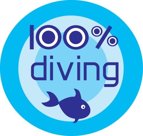 We dive sites on the NSW Central Coast and Nth Sydney. Fun, friendly professional service. Catering for all diving levels. We have the most fun from a boat!