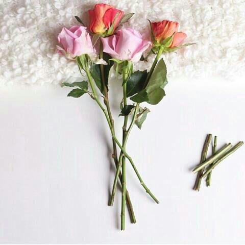 ‏‏‏‏‏‏‏‏‏‏

‏سماحہ•