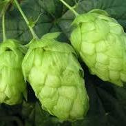 pencois's profile picture. 