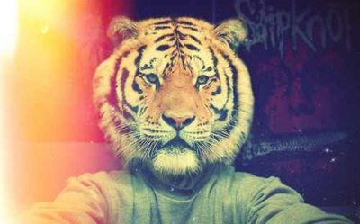 Ordinaryhope11's profile picture. •You're so loved• You can't live a positive life with a negative mind• You're stronger than what you're facing•