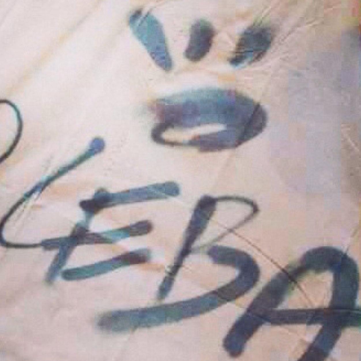 iamleba's profile picture. I make art