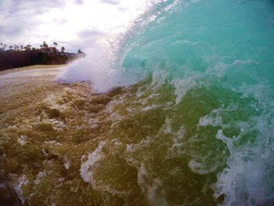 DavidBardot2's profile picture. 