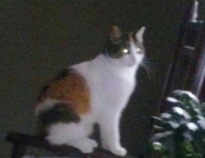 jtabsam8's profile picture. 