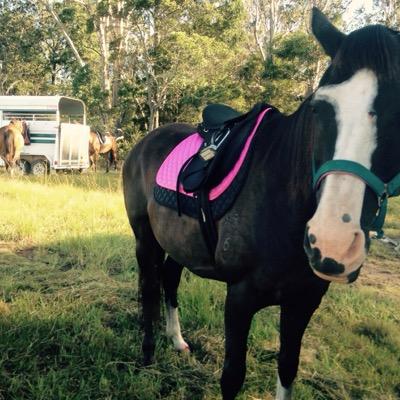 Rylee_eee's profile picture. follow me