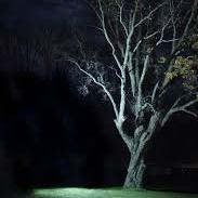 Delving into #mysteries, #hauntings, the #unexplained, #paranormal & just plain creepy. Youtube channel coming - You've been warned!