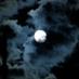 The Nocturnal Writer (@erwinscatherder) Twitter profile photo