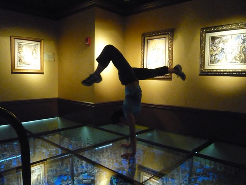 Stress Reduction, Mindfulness, and Resilience Training