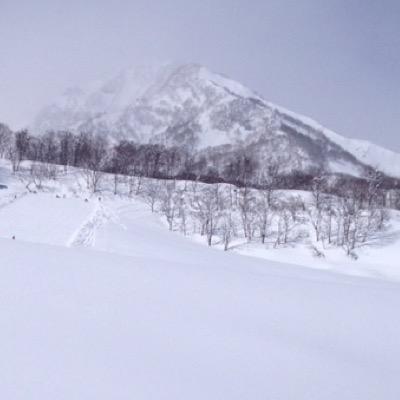 やっほ！