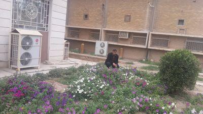 akeeltmeem1's profile picture. 