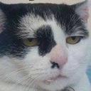 sydney lawrence - @bubbler69612 - Twitter