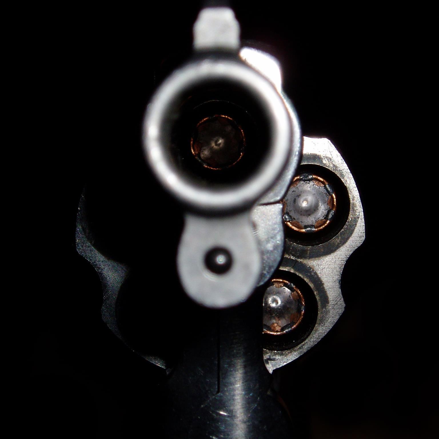 I love everything about guns. From the history of guns to current gun reviews. I have the firearm fever!