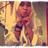 Rinii nursafitri 97