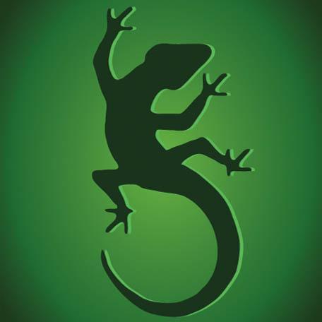 Strategiespiel_'s profile picture. 