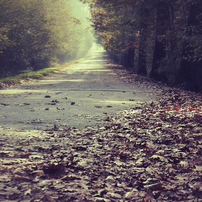 almoor22's profile picture. 