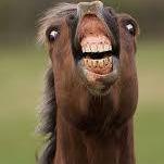 GetRektPls's profile picture. 