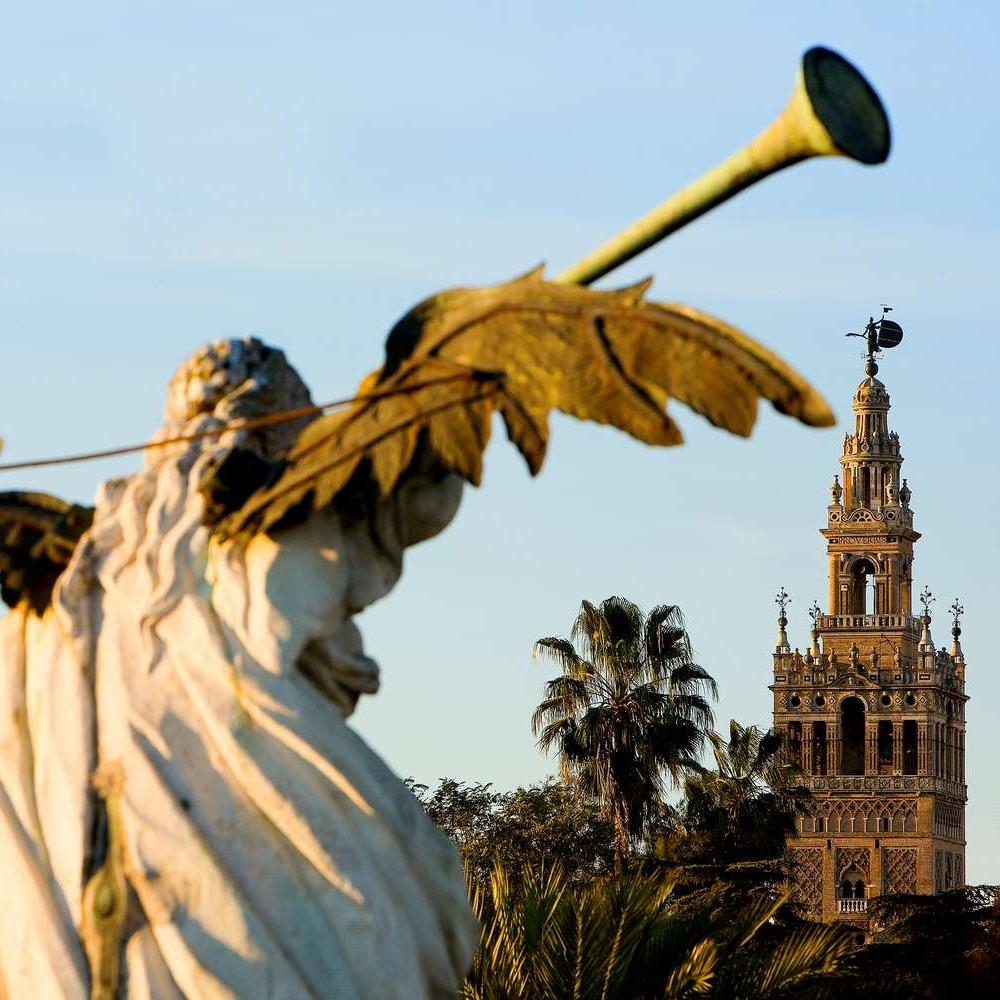 Doctor en Ingeniería Informática por la Universidad de Sevilla.