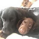 Hannah Cater - @CaterHannah - Twitter