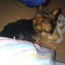 Vicky Knott - @VkKnott - Twitter