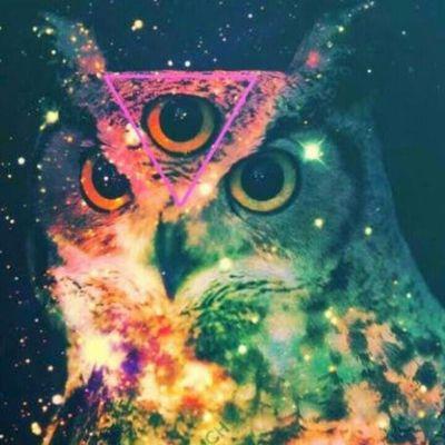 DrHibouX's profile picture. 