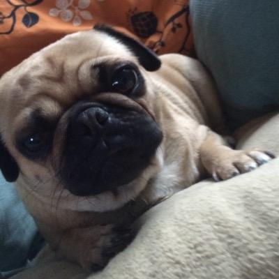 queen of pug *snuffles*