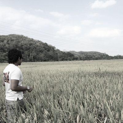 Forever be Mahfiah's boy Incoming career : -Petani -Penternak -Kontracktor -Diver