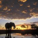 Parker Davidson - @parkerdavidso12 - Twitter