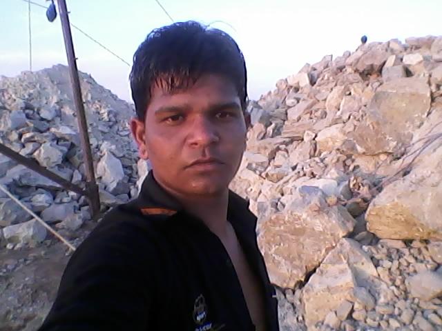 senetary inspector