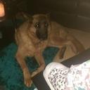 Raymond Magee - @magee_raymond - Twitter