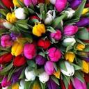 Nader Alhaj (@5899243bacdb441) Twitter