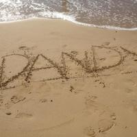 Michael Dandy (@mickyd44) 's Twitter Profile