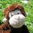 MalcolmAMonkey