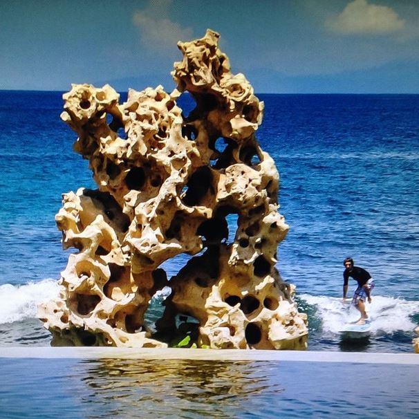 DianatitoTito's profile picture. 