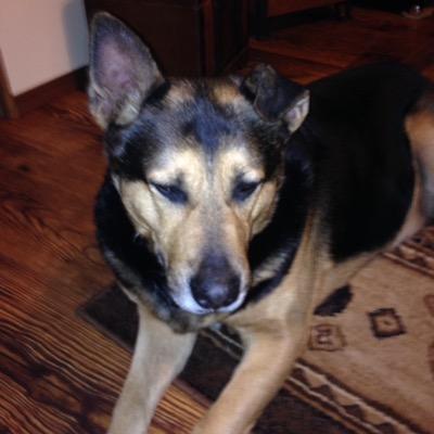 RisnerKathy's profile picture. 