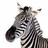 zoomingzebra