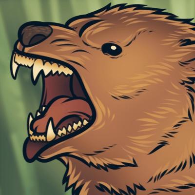 LucasChamberla2's profile picture. make them roar