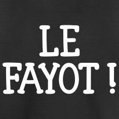 tpmp pdlp d8 (le fayot)