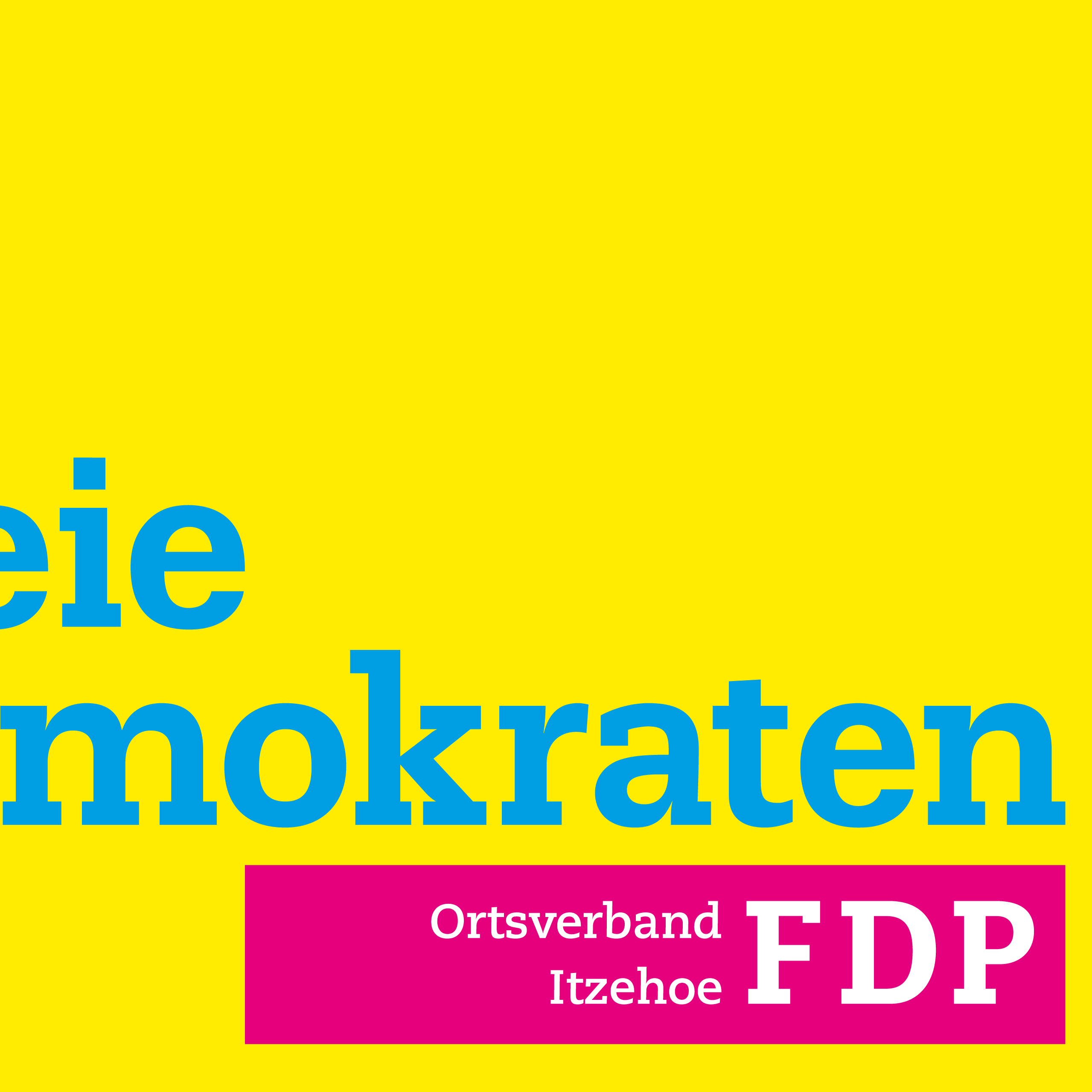 Freie Demokraten FDP Ortsverband Itzehoe