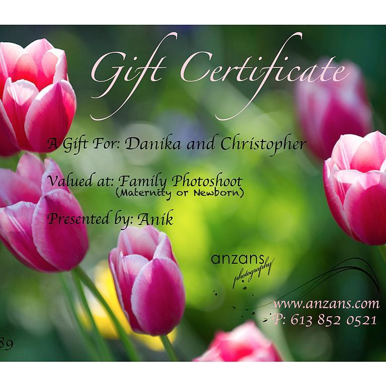 Ottawa Wedding/Maternity/Baby/Family Photographer