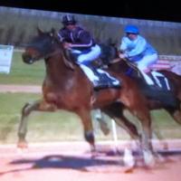 junior (@leblanc_junior) 's Twitter Profile