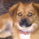 john rodopoulos - @veil131966 - Twitter