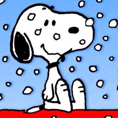 aidorusukisuki's profile picture. アイドル好きです♪特にAKB♪ よろしくお願いします♪リツイート多めです(_)