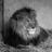 camachok2's profile image