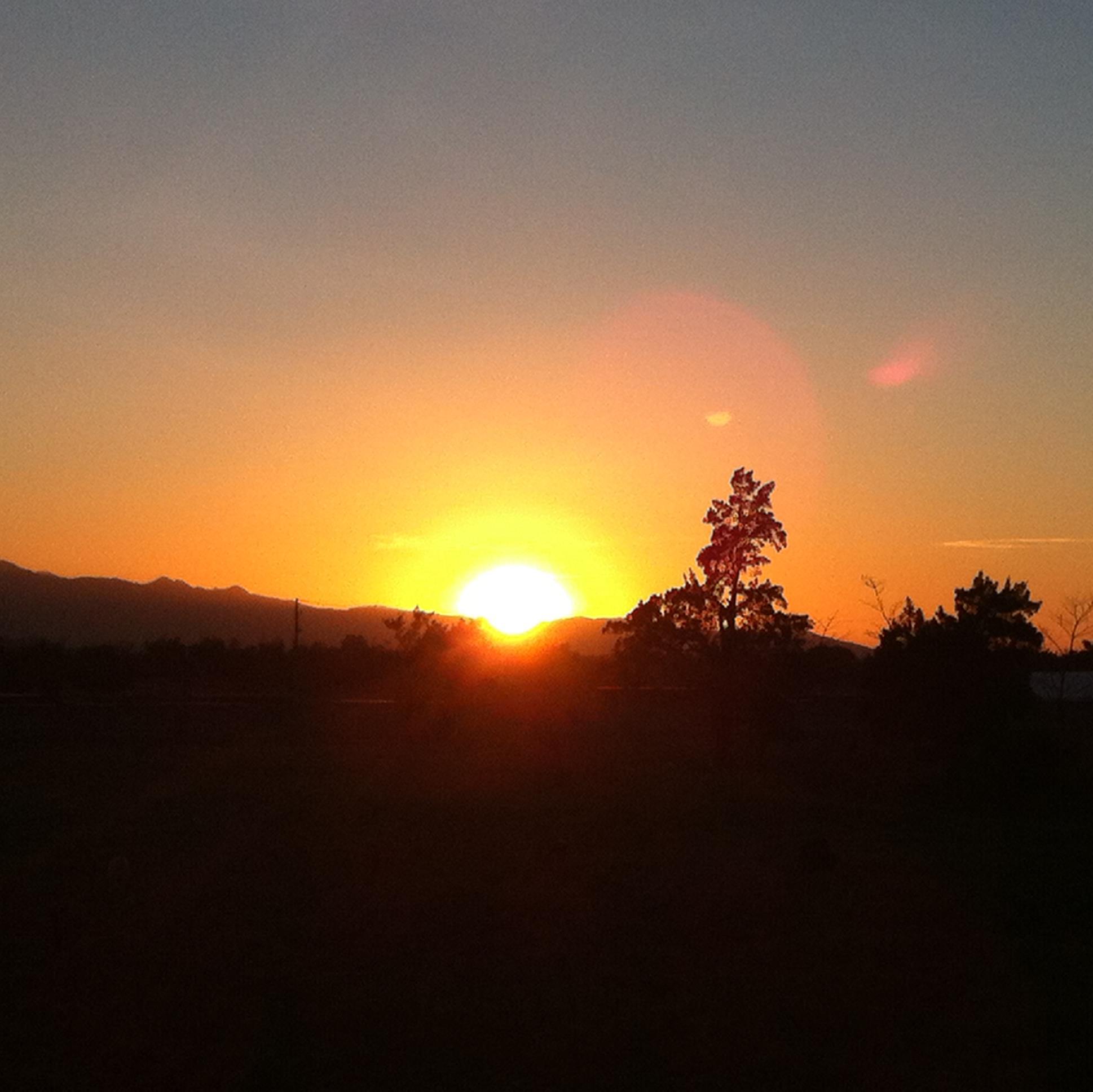 LaGuacimaHome's profile picture. 