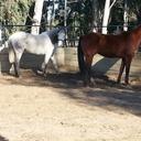 douglas storey - @elrobets - Twitter