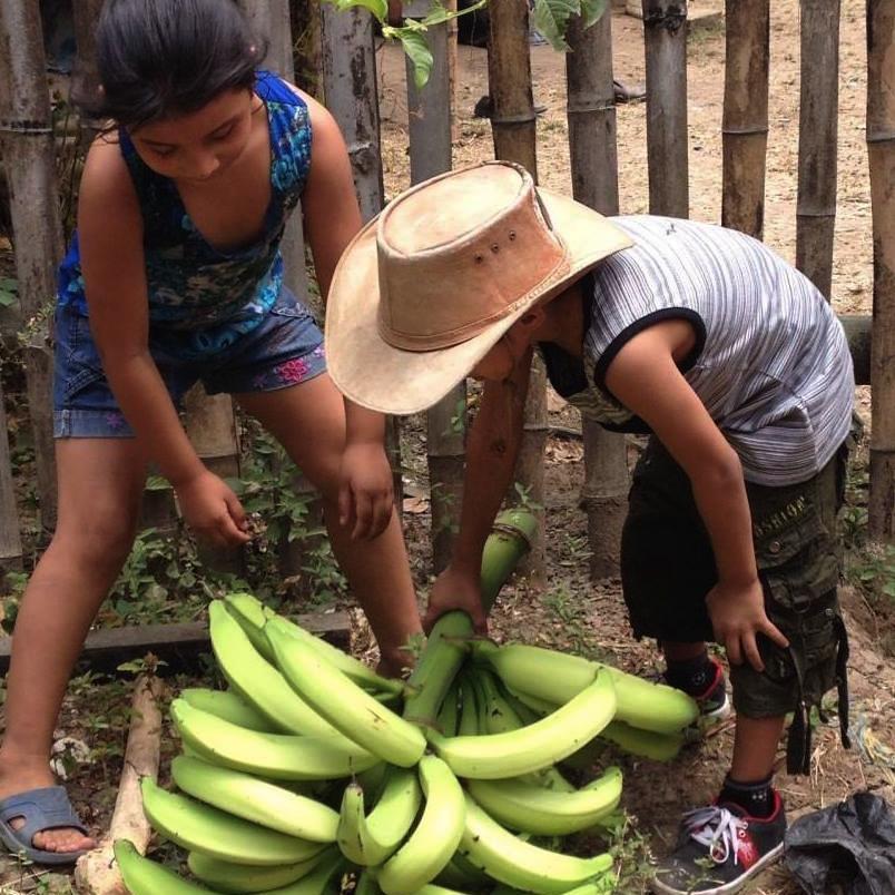 Whether you are looking for an exclusive custom-built holiday, Irish Country Manors or Caribbean River Trekking, we provide small groups the opportunity!