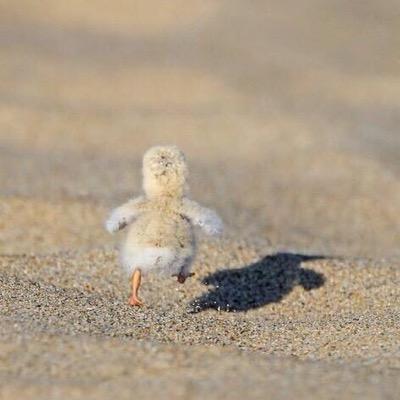 WatitEarp's profile picture. 