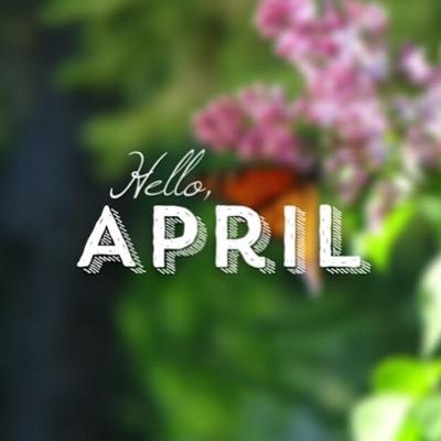 bsuanzes's profile picture. 